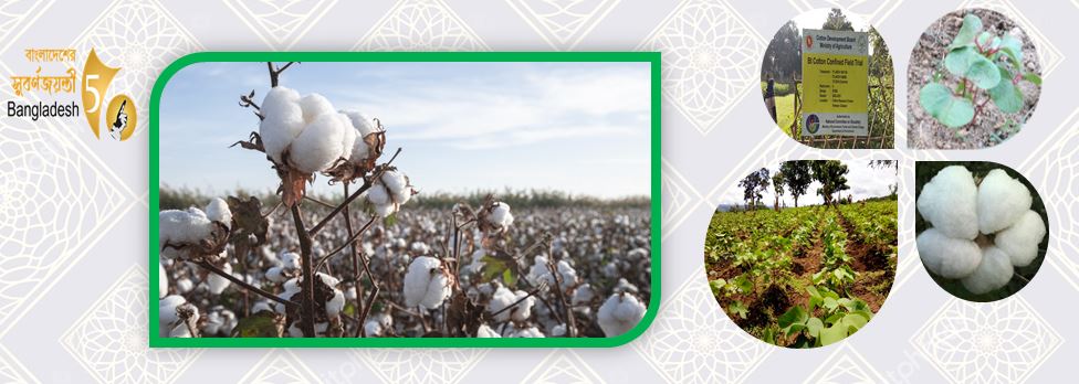 ব্যানার ২