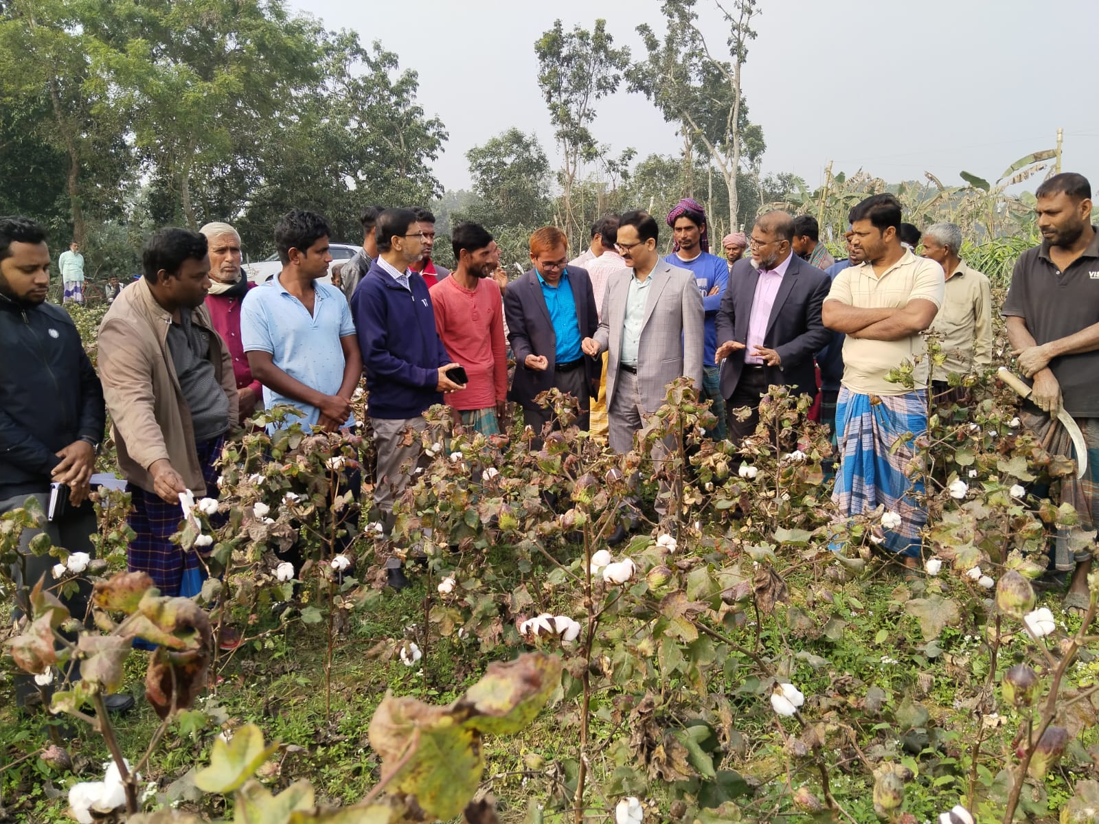 কৃষি মন্ত্রণালয়ের অতিরিক্ত সচিব জনাব আহমেদ ফয়সাল ইমাম, যুগ্ম সচিব জনাব মোঃ জসিম উদ্দিন, সিনিয়র সহকারী সচিব জনাব নাইমা আফরোজ ইমা ও অন্যান্য সংশ্লিষ্ট কর্মকর্তাবৃন্দের ২৫-০১-২০২৫ ইং তারিখে তুলা উন্নয়ন বোর্ডের চুয়াডাঙ্গা জোনের জীবননগর ইউনিটে তুলা জমি সরেজমিনে পরিদর্শন