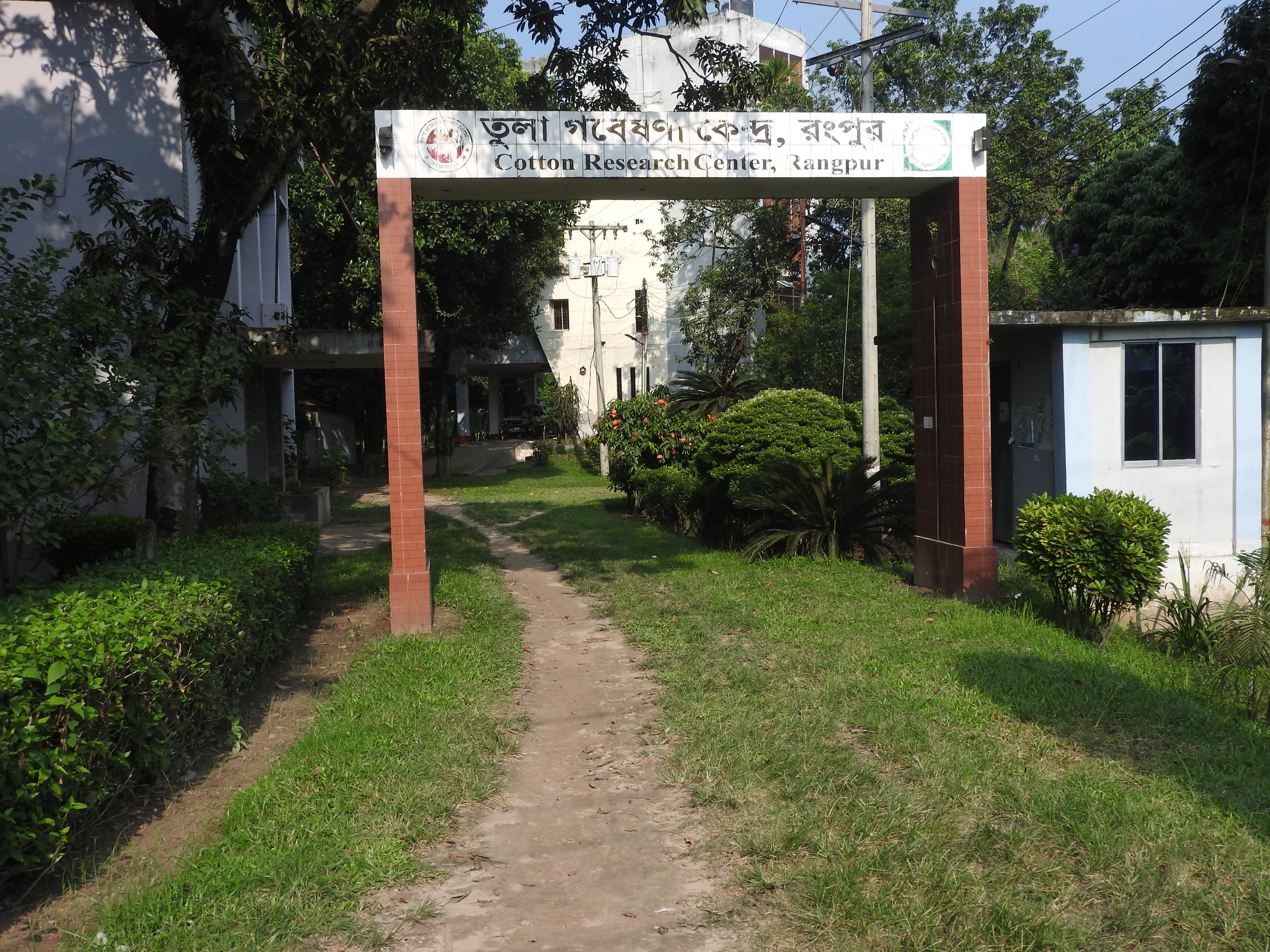 তুলা গবেষণা কেন্দ্র, রংপুর
