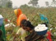কার্যক্রমসমূহ