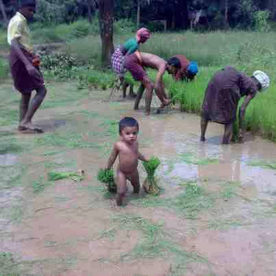 কৃষি ও প্রাণিসম্পদ