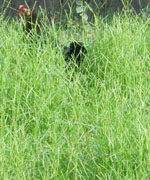 সমাজসেবা