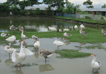 ভূমি অফিস