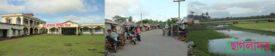 ৩নং ছাগলাদহ ইউনিয়ন পরিষদ