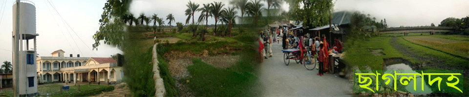 ছাগলাদহ ইউনিয়ন পরিষদ