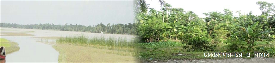 চর ও বাগান