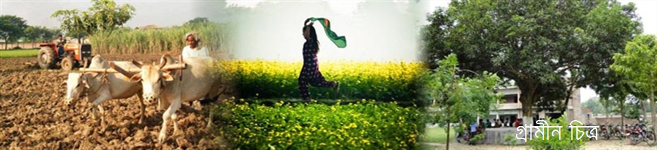 গ্রাম বাংলার চিত্র