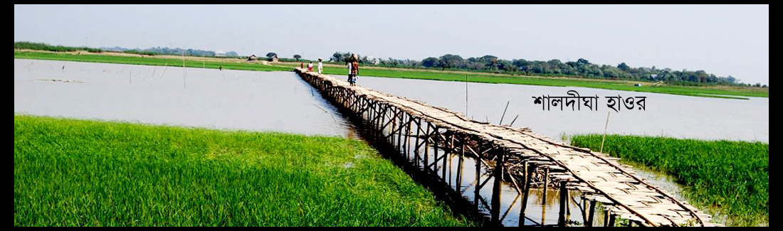 শালদীঘা হাওর