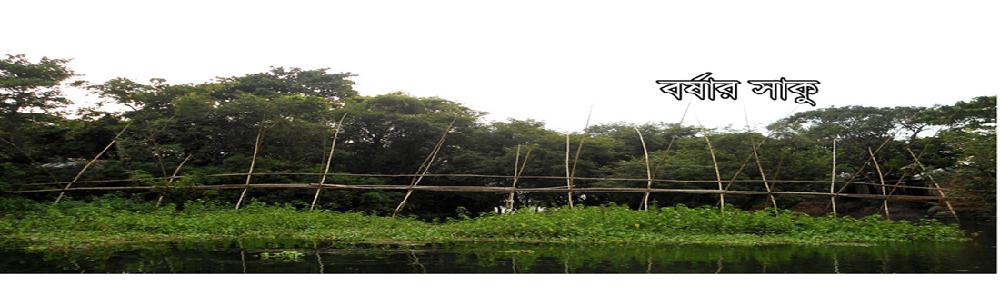 বর্ষার সাকু