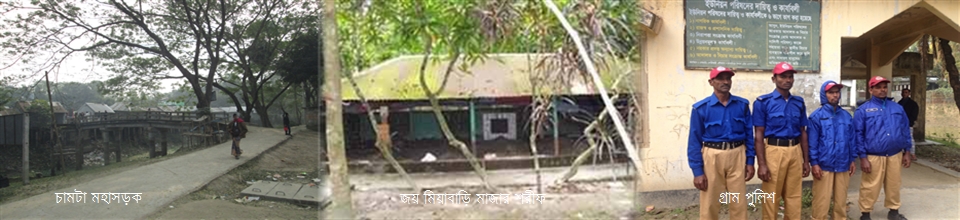 চামটা ইউনিয়ন।