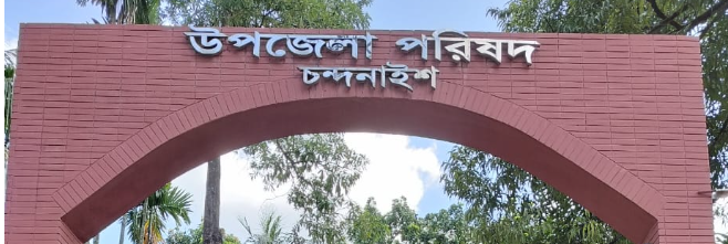উপজেলা পরিষদ
