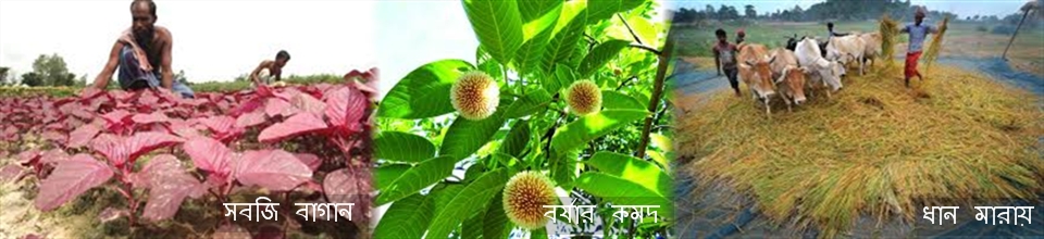 নানা বৈচিত্রে চান্দেরকান্দি