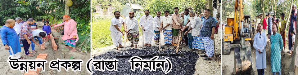 উন্নয়ন প্রকল্প