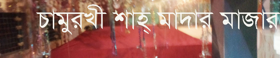 ১০নং চাঁদপুর ইউনিয়ন পরিষদ