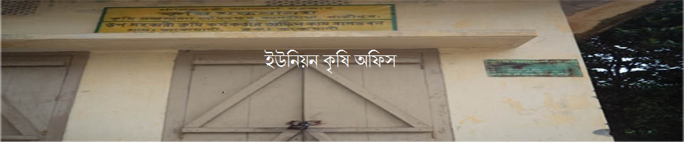১০নং চাঁদপুর ইউনিয়ন পরিষদ