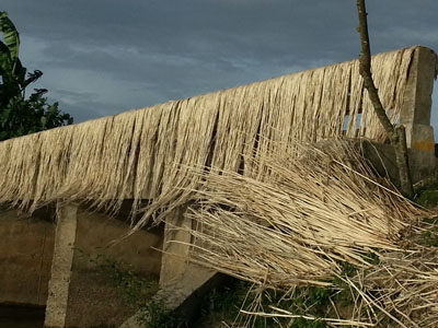 কৃষি ও প্রাণিসম্পদ