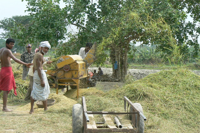 কৃষি ও প্রাণিসম্পদ