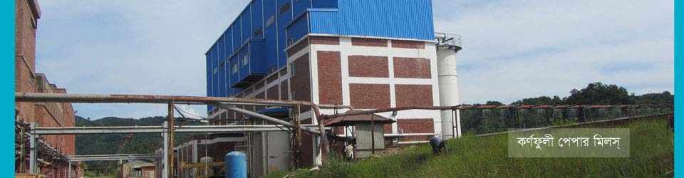 কর্ণফুলী পেপার মিল