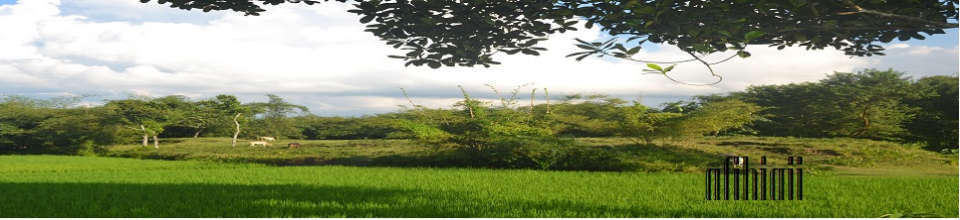 প্রকৃতিক দৃশ্য