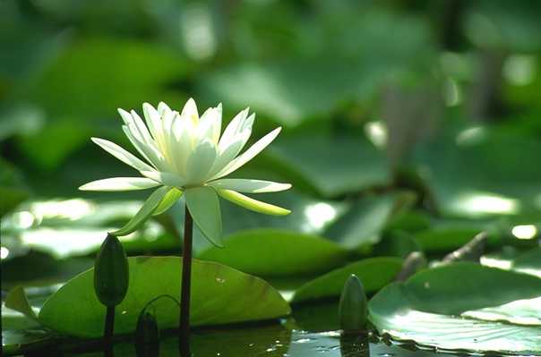আইন শৃঙ্খলা ও নিরাপত্তা