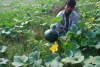 ইউআইএসসি