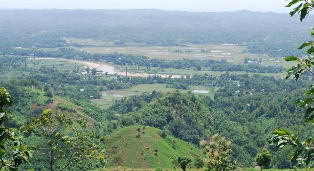 ফটোগ্যালারী