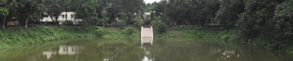 উপজেলা পরিসদ পুকুর