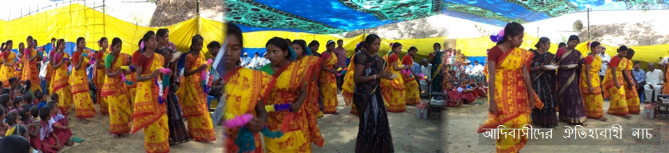 চাঁপাইনবাবগঞ্জ সদর উপজেলার আদিবাসী জনগোষ্ঠির সংস্কৃতি