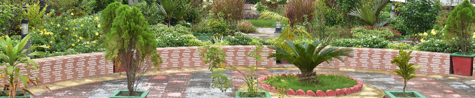 উপজেলা পরিষদ লের বাগান