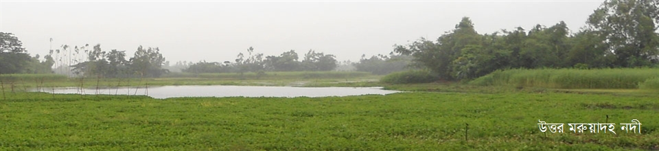 উত্তর মরুয়াদহ নদী