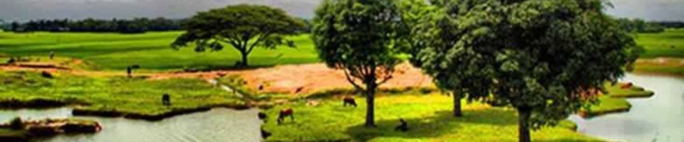 আমার দেশ