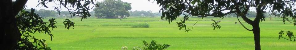 চাপরাশিরহাট ইউনিয়ন