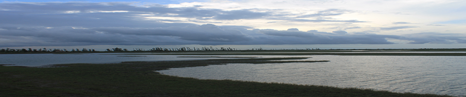চরবাটা উপকুল