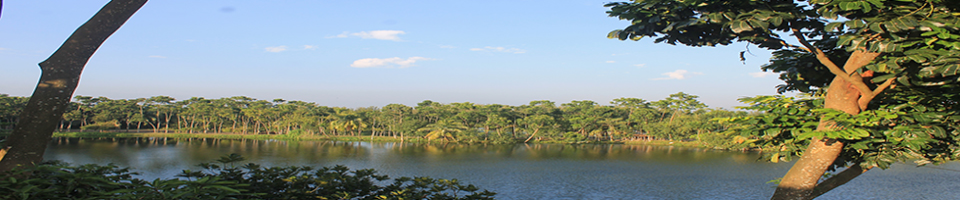 গ্লোব ফিশারিজ