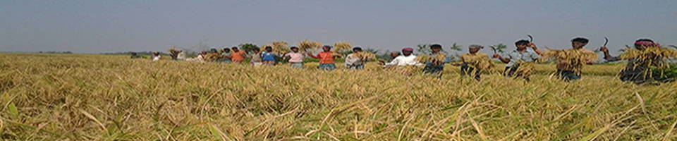 চরবাটা ইউনিয়ন