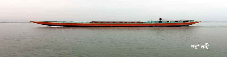 চরভদ্রাসনের পদ্মা নদী