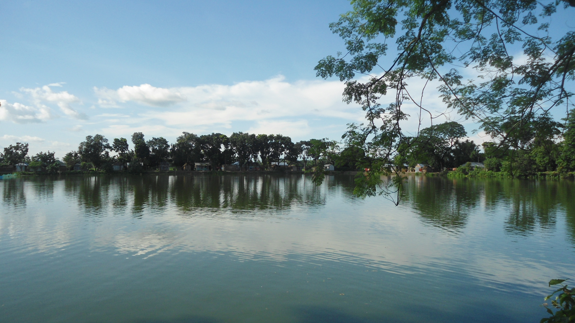 ফটোগ্যালারী