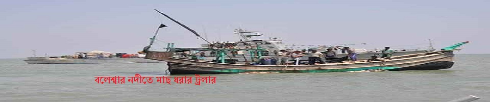 চরদুয়ানী ইউপি।