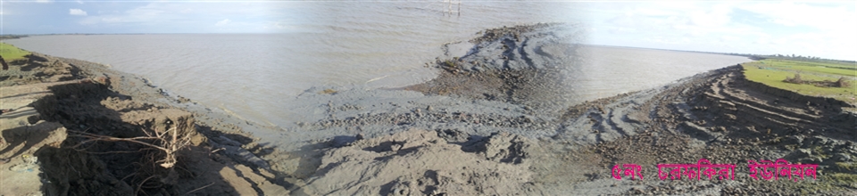 ৫নং চরফকিরা ইউনিয়ন