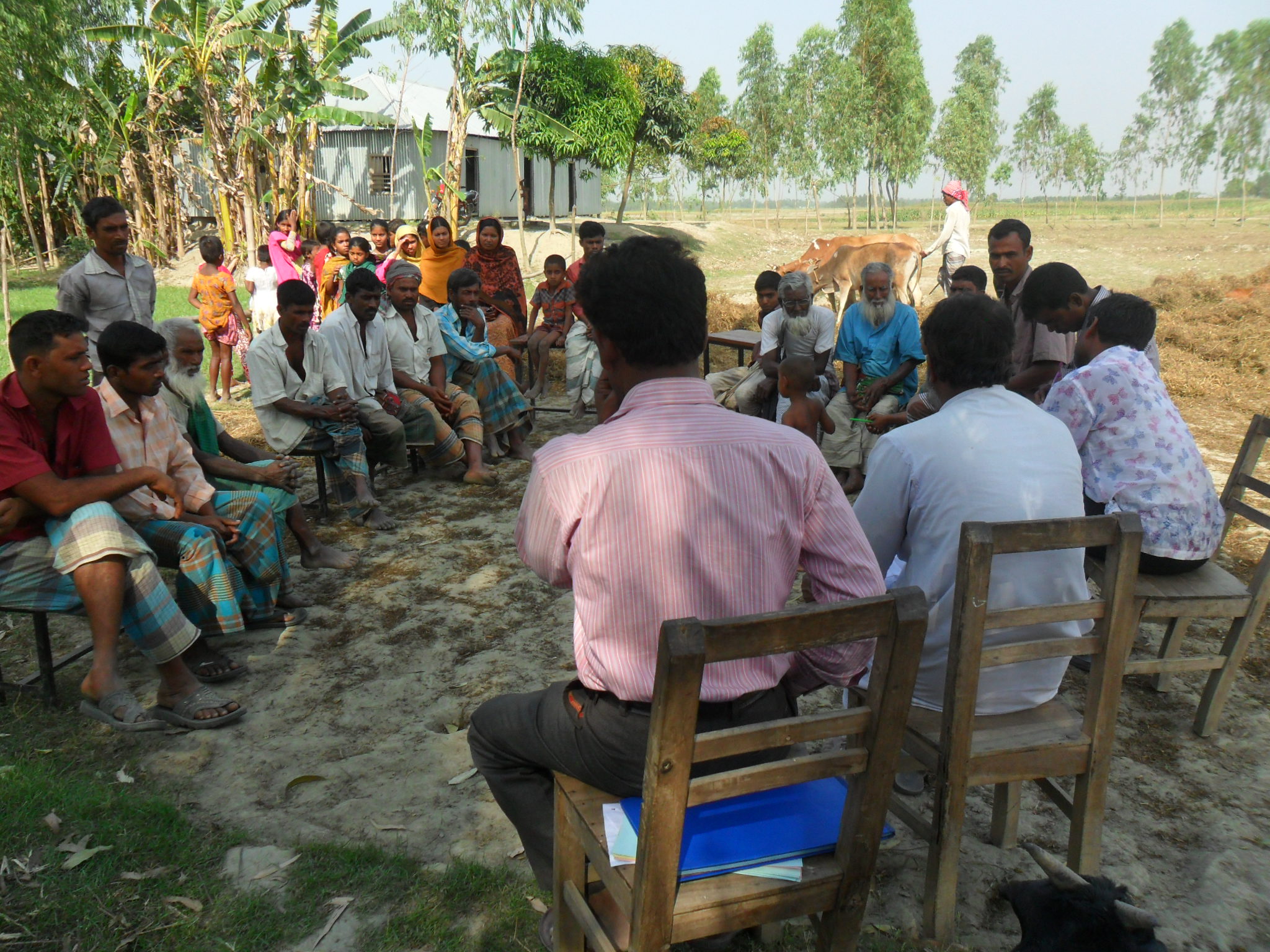 ফটো গ্যালারী