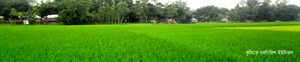কৃষিতে চরগিরিশ ইউনিয়ন