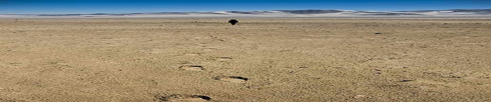 পদ্মার চর