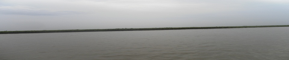 পদ্মা পারের কাশবন