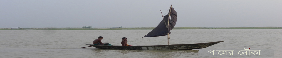 পাল তোলা নৌকা