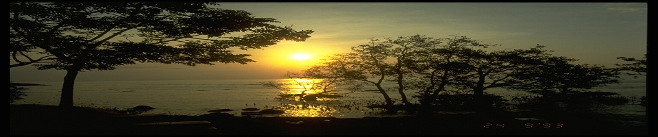 সন্ধ্যা বেলা