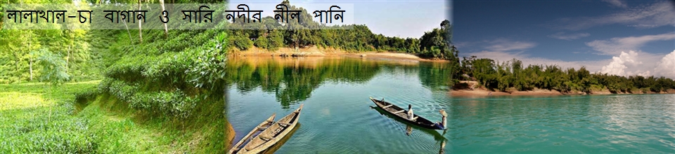 লালাখাল চা বাগান ও সারি নদীর নীল পানি