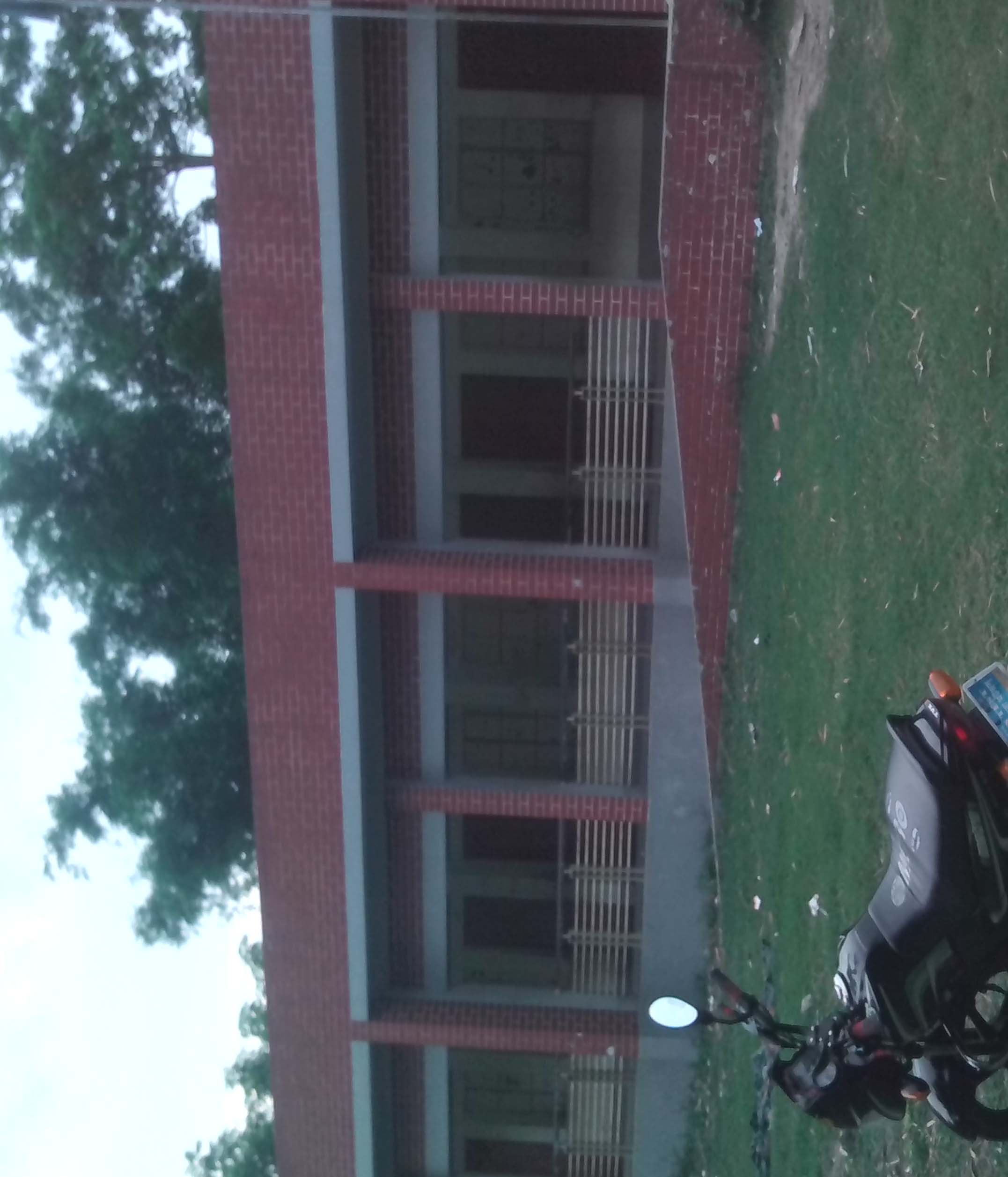 প্রাথমিক বিদ্যালয়