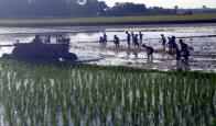 কৃষি ও প্রাণিসম্পদ