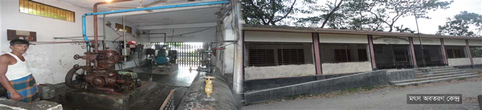 মৎস অবতরণ কেন্দ্র