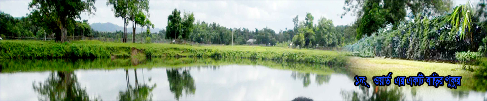 ১নং ওয়ার্ড এর একটি বাড়ির পুকুর